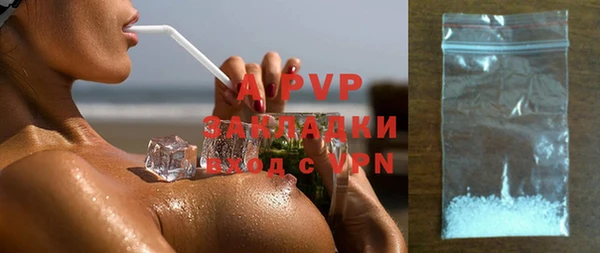 молекула духа Козловка