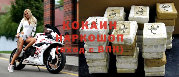 молекула духа Козловка