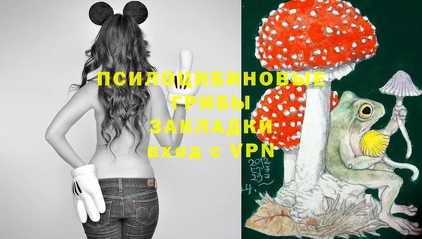 прущие грибы Козельск