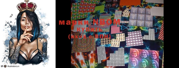 гашик Коряжма