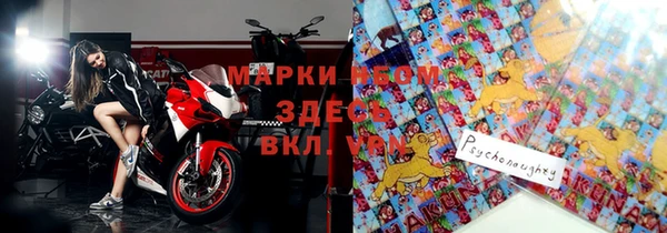 молекула духа Козловка