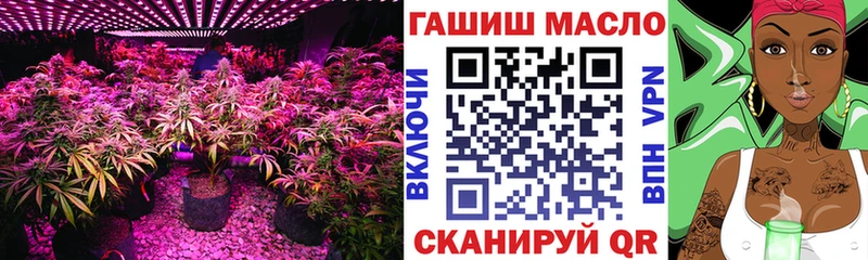 Купить закладки  Кисловодск  ТГК гашишное масло 