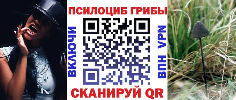 Купить  Кисловодск  Псилоцибиновые грибы Cubensis 